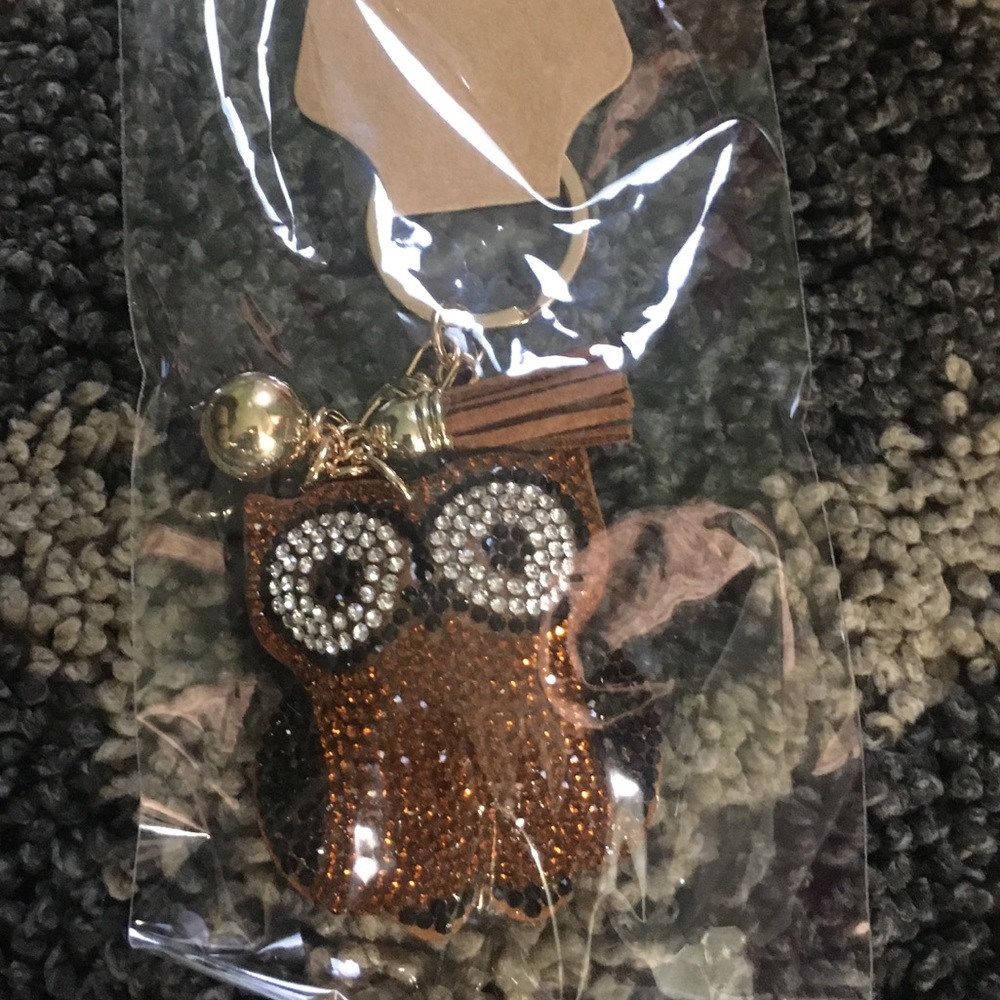 🦉 owl key chain